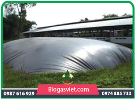 Hầm biogas phủ bạt HDPE chi phí thấp