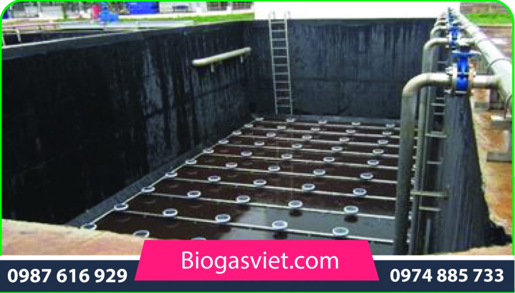 Xử lý nước thải chăn nuôi heo bằng hầm biogas