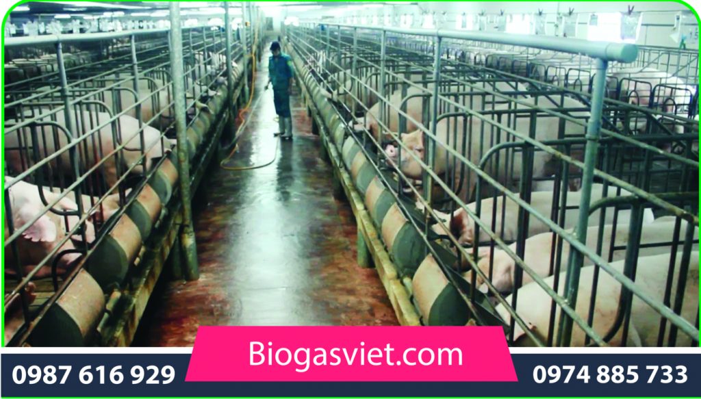 Xử lý nước thải chăn nuôi heo bang ham biogas-05 khoaNK