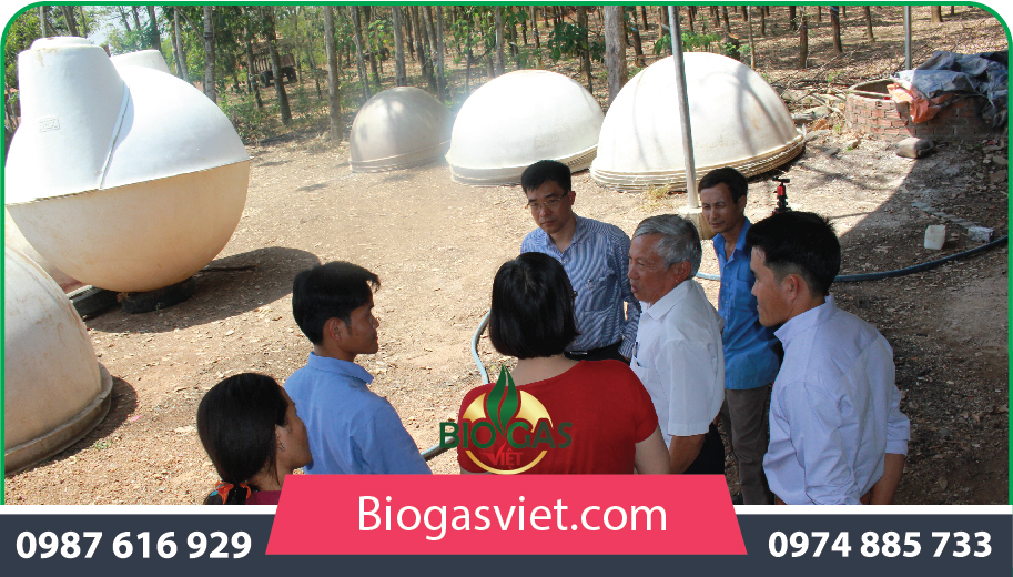 Công ty TNHH Sản xuất – Xây dựng Biogas Việt Công ty TNHH Sản xuất – Xây dựng Biogas Việt
