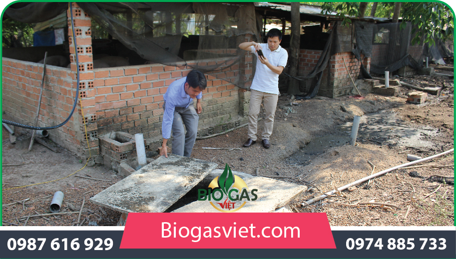 ưu nhược điểm của biogas