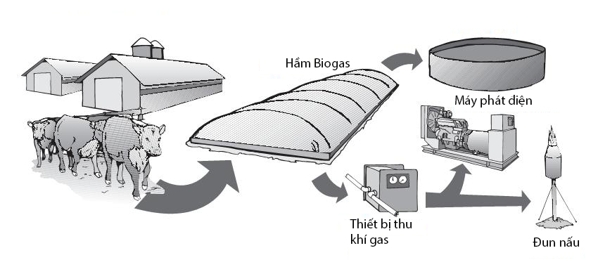 mô hình hầm biogas trong chăn nuôi