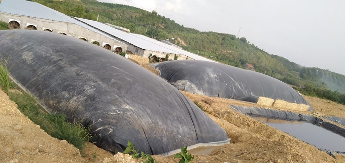 hầm biogas cung cấp khí sinh học