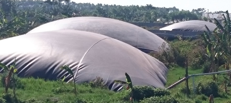 xử ly nước thai chăn nuoi với hầm biogas