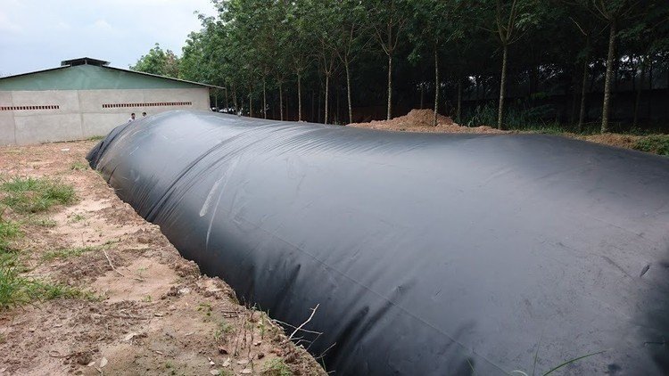 ham-biogas