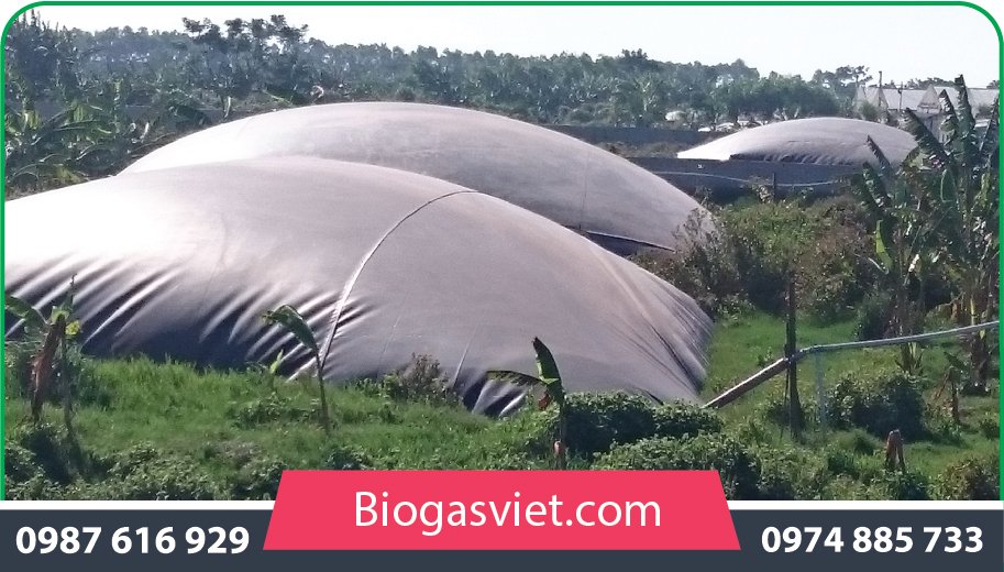 hầm biogas phủ bạt hdpe